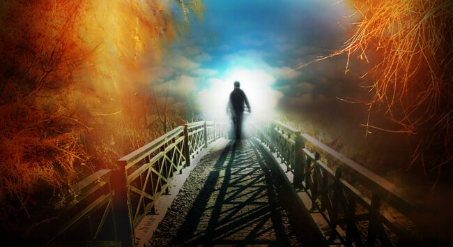 Questions on the Soul, Fine Tuning, and a Maximally Great Being
