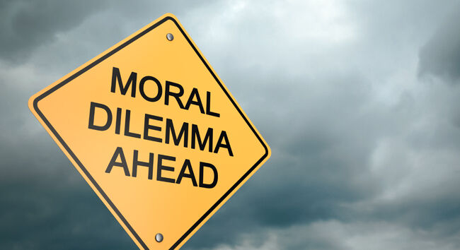 Questions on the Moral Argument and Animal Suffering