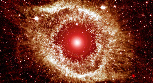 Whatever Happened to Intelligent Design?