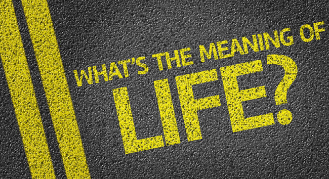 Exploring Meaning and Nothingness