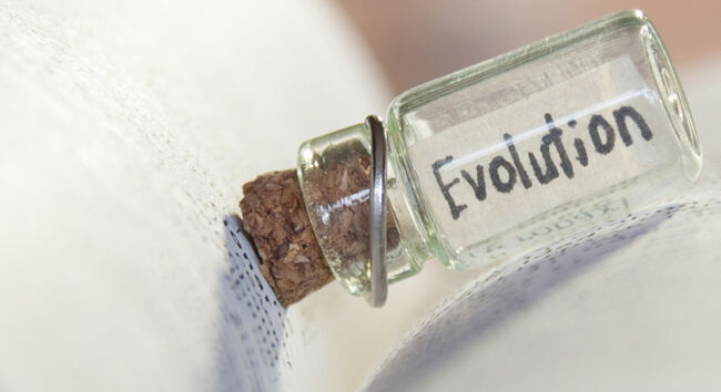 Does Evolution Explain Religious Belief? (Part 2)
