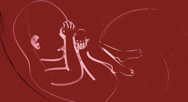 Questions on Atheism, Abortion and Molinism