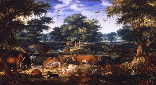 Questions about Animal Death before the Fall of Man