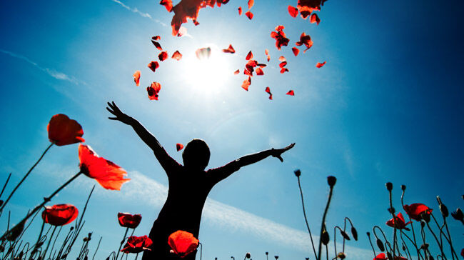 The Abundance Theory of Creation