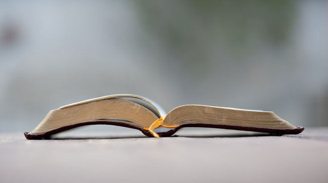 Some Bible Questions
