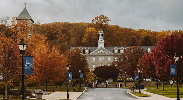 The University Shapes Culture