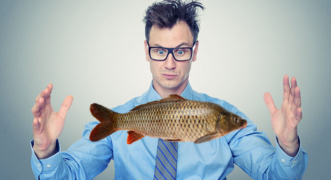 Avoiding Exaggerated Claims