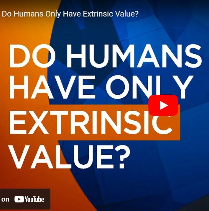 Do Humans Only Have Extrinsic Value?